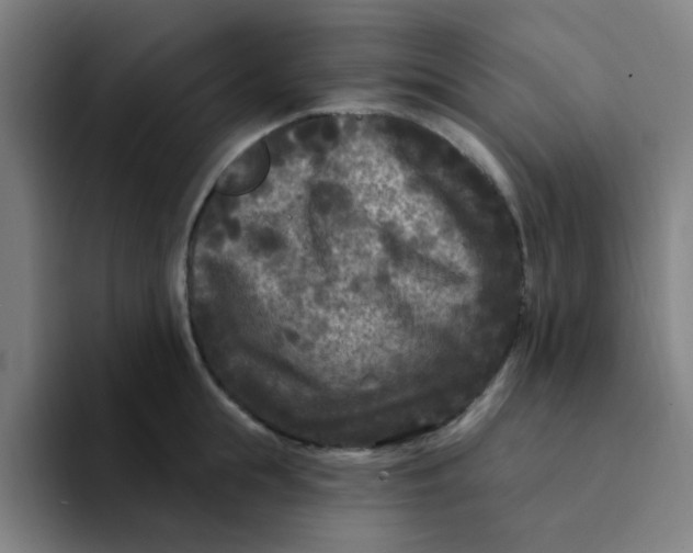 X0000094230855200711161908