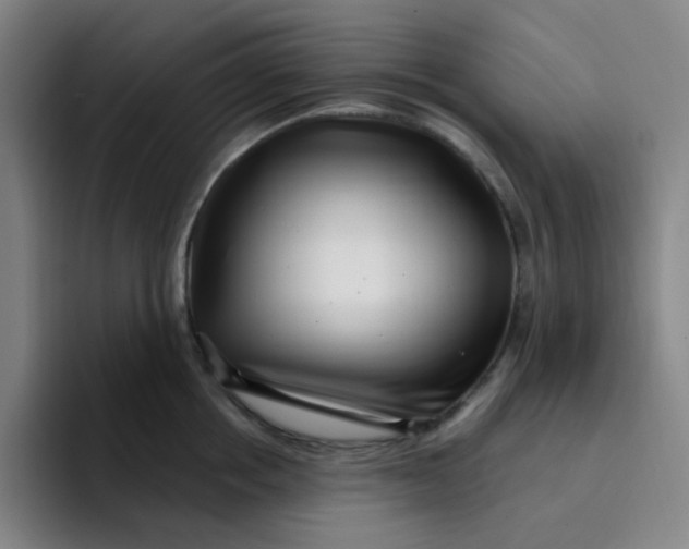 X0000094230858200711161908