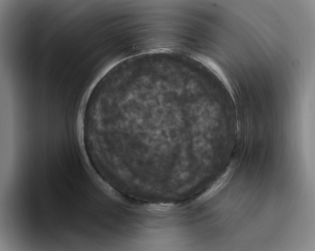 X0000094230859200711161908