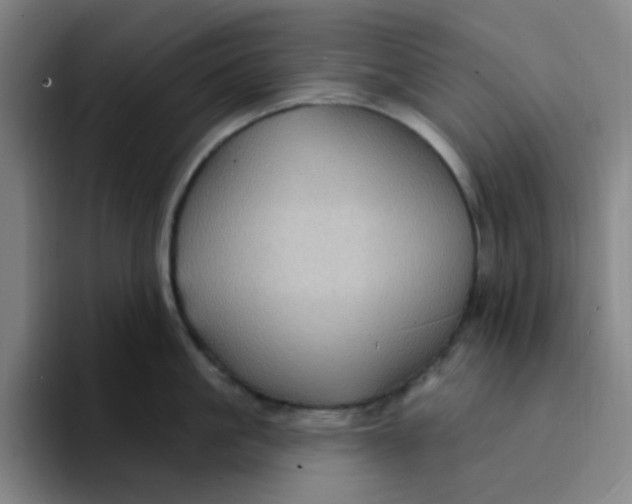 X0000094230861200711161908