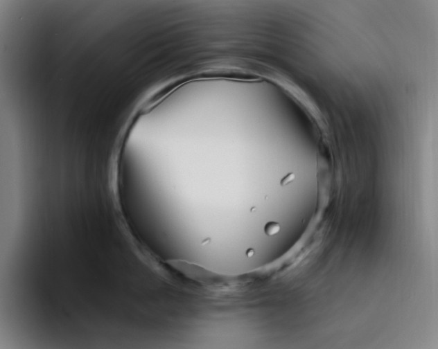 X0000094230862200711161908