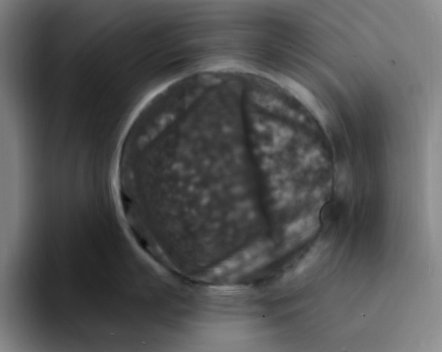 X0000094230863200711161908