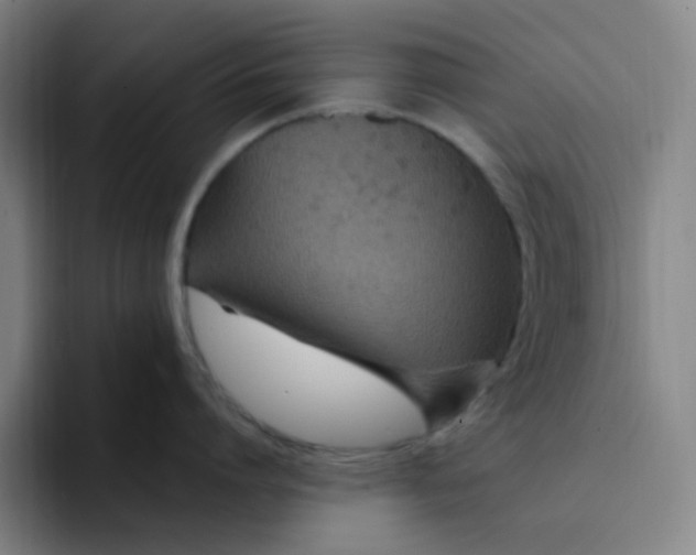 X0000094230864200711161908