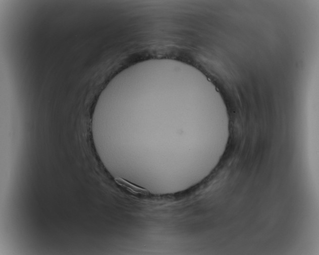 X0000094230865200711161907