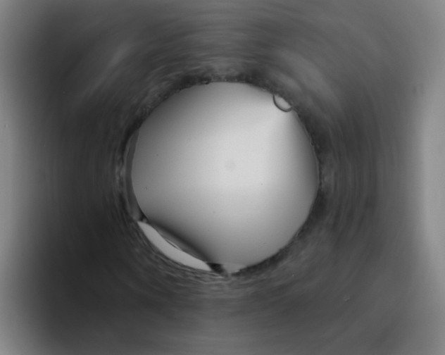 X0000094230866200711161907