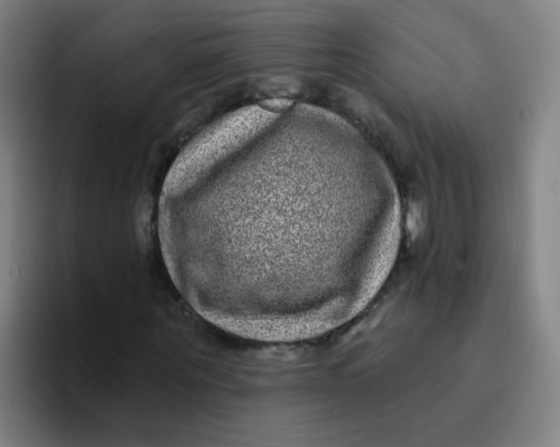 X0000094230867200711161907