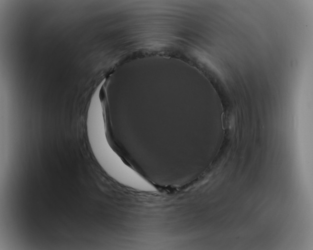 X0000094230868200711161907