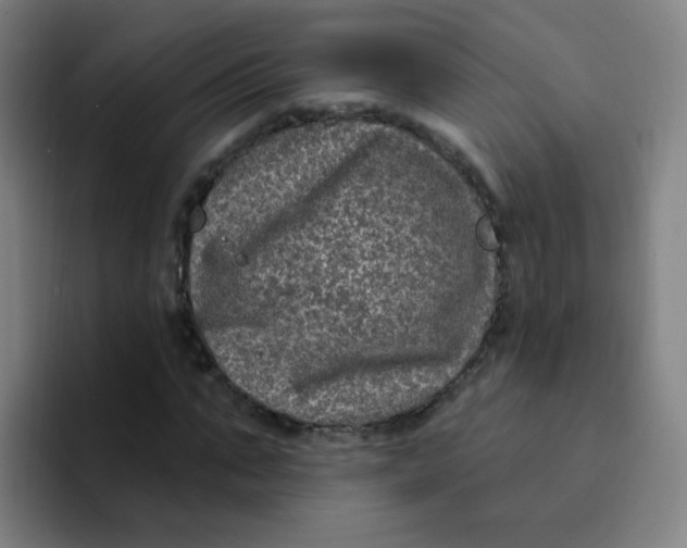 X0000094230871200711161907