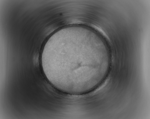 X0000094230873200711161907