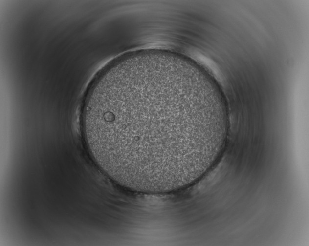 X0000094230875200711161907