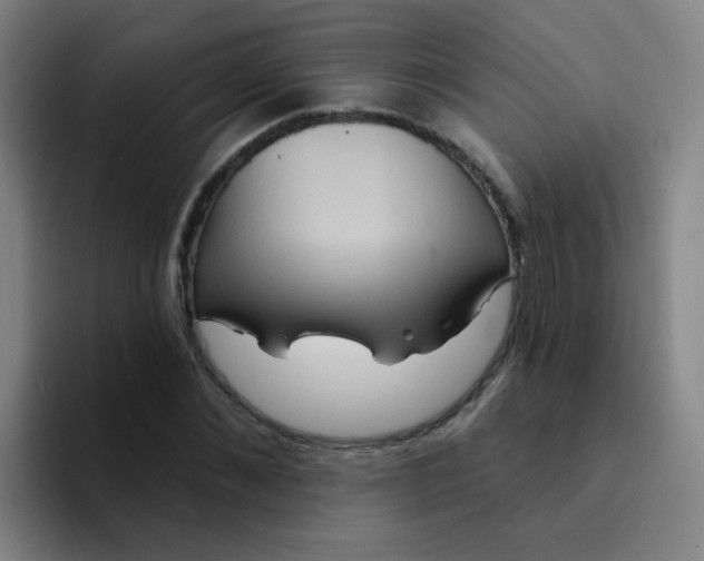 X0000094230876200711161907