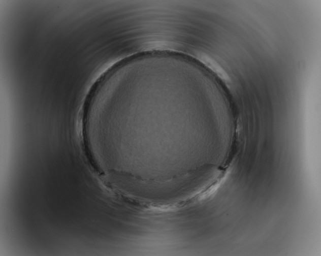 X0000094230877200711161907