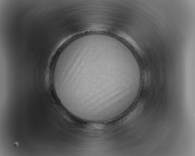 X0000094230878200711161907