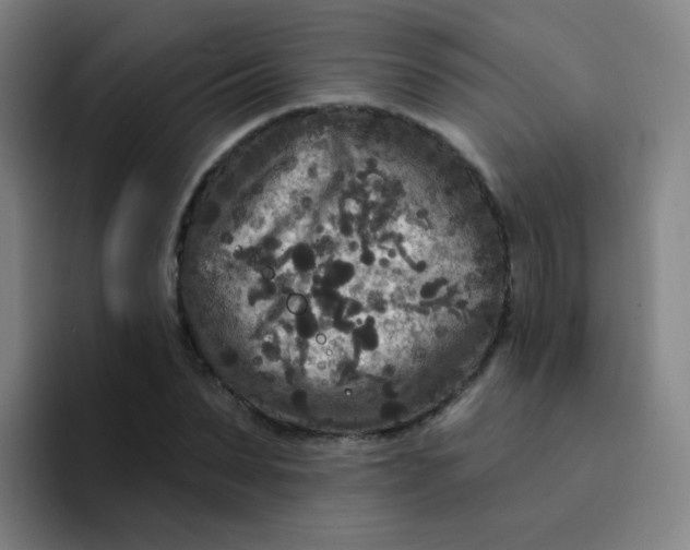 X0000094230879200711161907