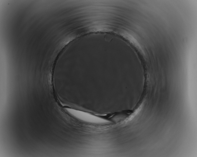 X0000094230881200711161907