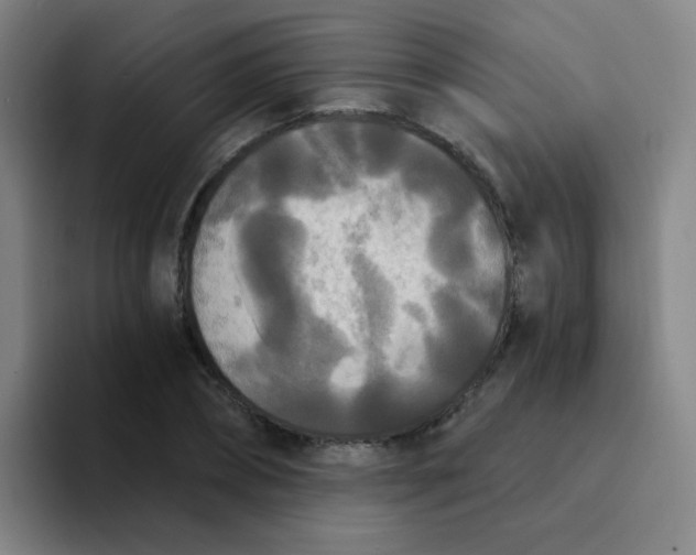 X0000094230882200711161907