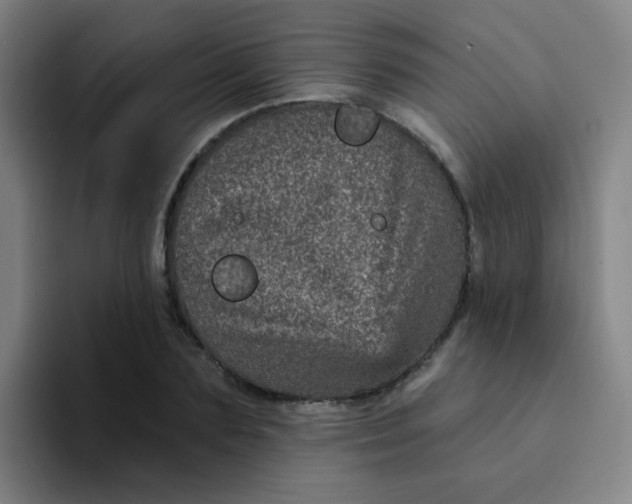 X0000094230883200711161907