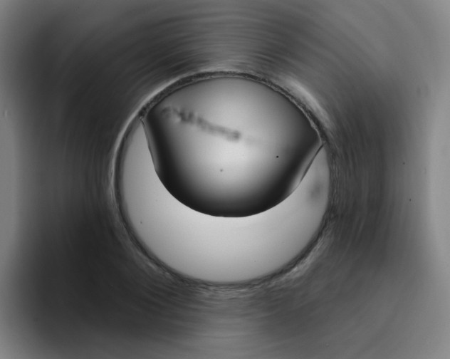 X0000094230884200711161907