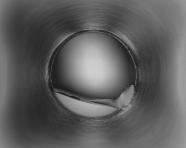 X0000094230885200711161907