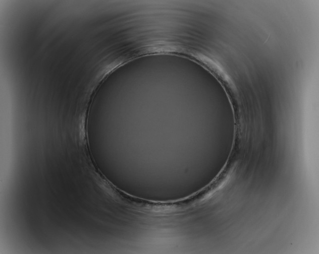 X0000094230889200711161907