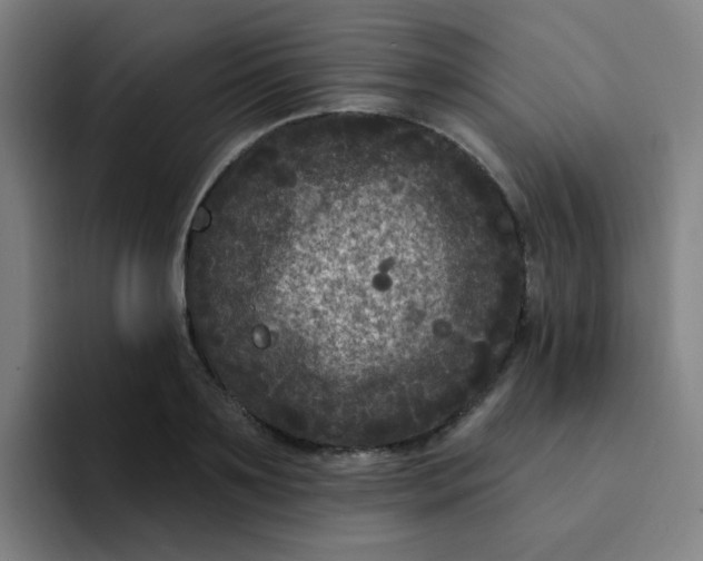 X0000094230891200711161907