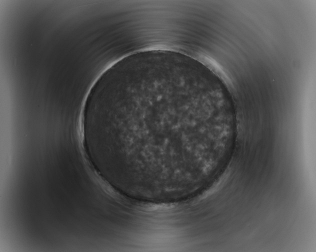 X0000094230892200711161907