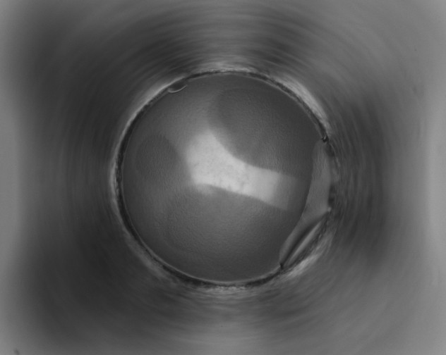 X0000094230893200711161907