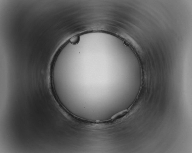 X0000094230894200711161907