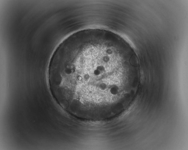 X0000094230895200711161907