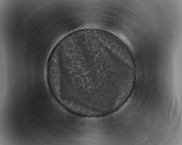 X0000094230896200711161907