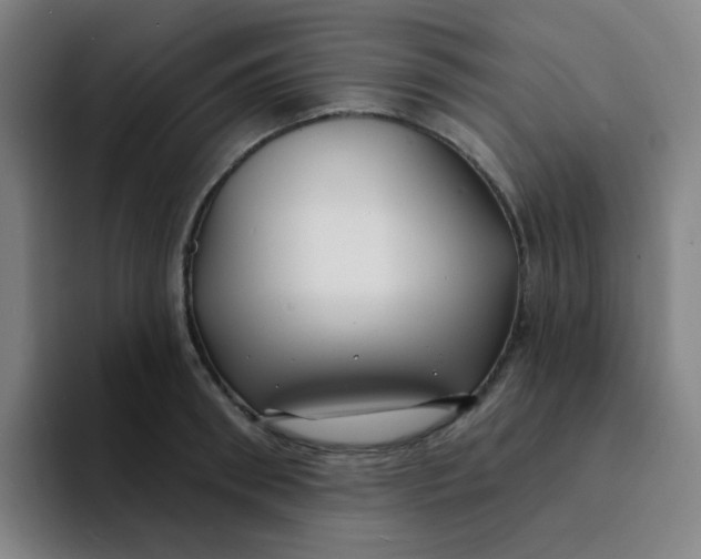 X0000094230898200711161907