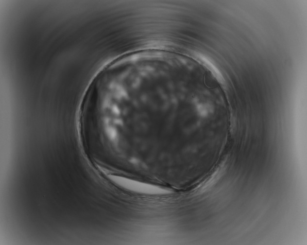 X0000094230899200711161907