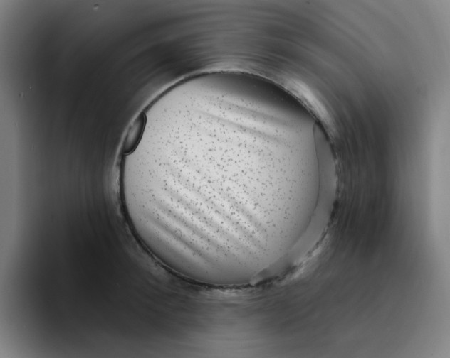 X0000094230900200711161907