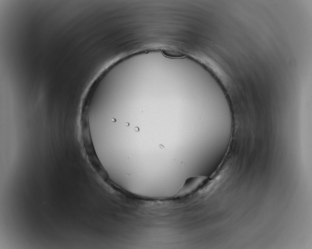 X0000094230902200711161907