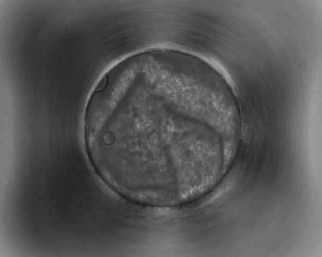 X0000094230903200711161907