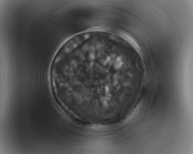 X0000094230907200711161907