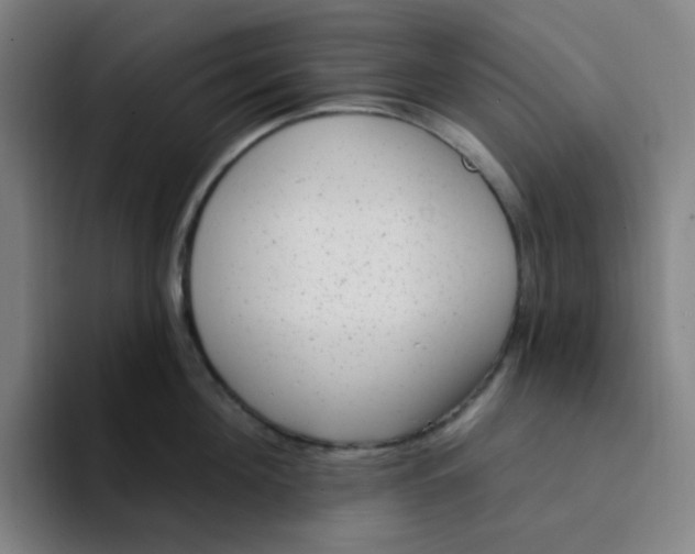 X0000094230908200711161907