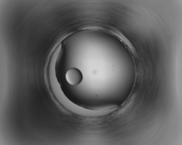 X0000094230909200711161907