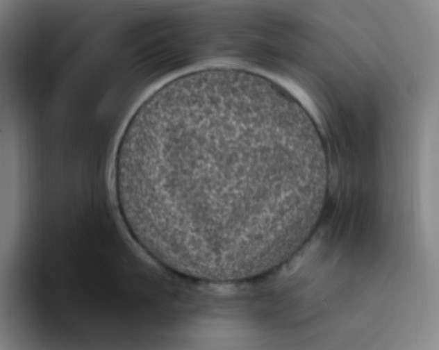 X0000094230911200711161907