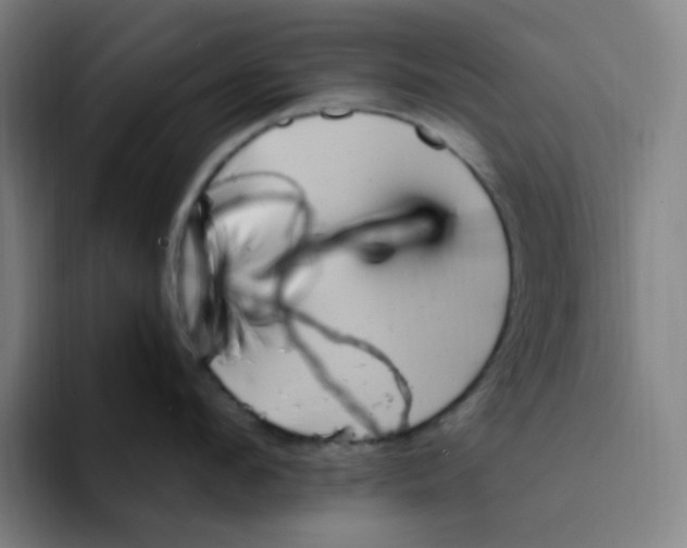 X0000094230912200711161907