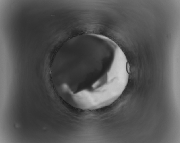 X0000094230913200711161906