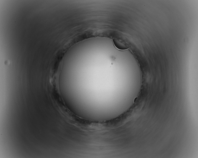 X0000094230914200711161906