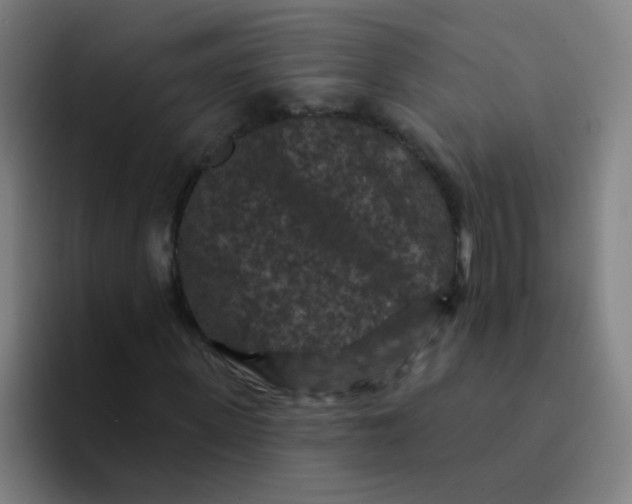 X0000094230915200711161906