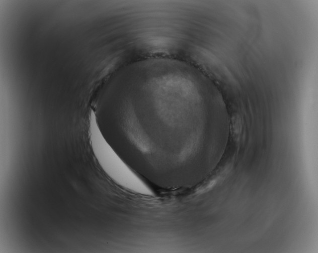 X0000094230916200711161906