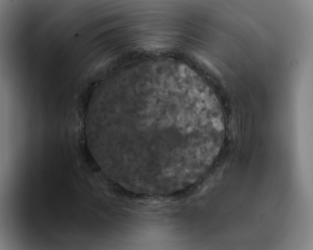 X0000094230917200711161906