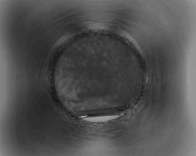 X0000094230919200711161906