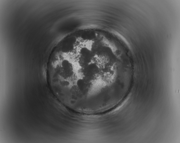 X0000094230921200711161906