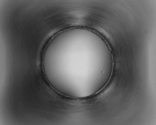 X0000094230922200711161906