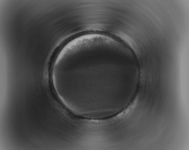 X0000094230923200711161906