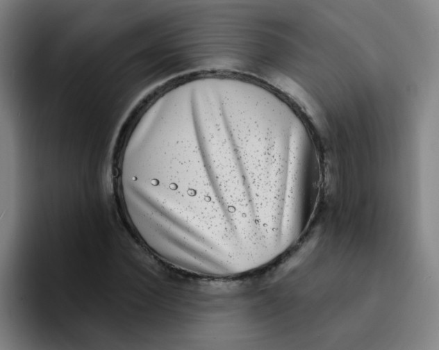 X0000094230924200711161906